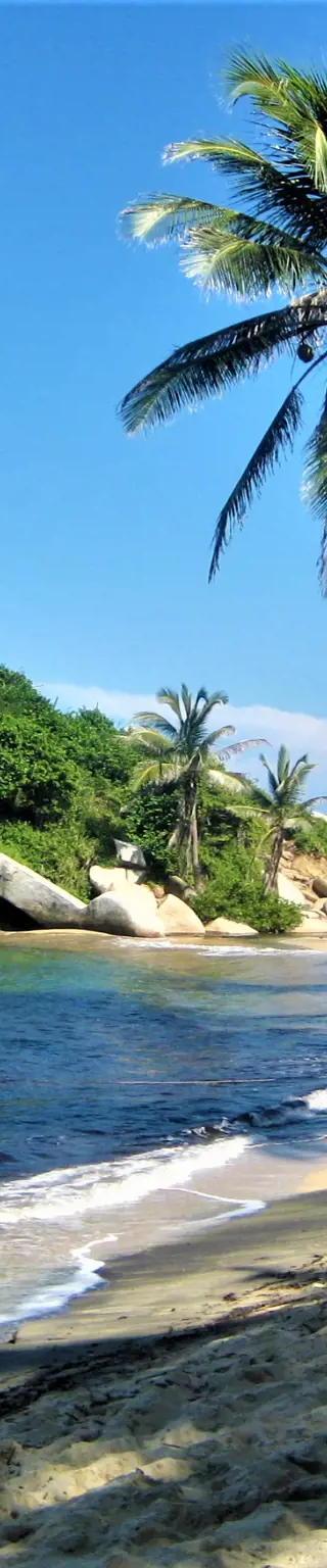 Bewundere die Schönheit des Tayrona Nationalparks